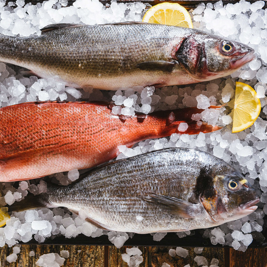 Рыба и морепродукты